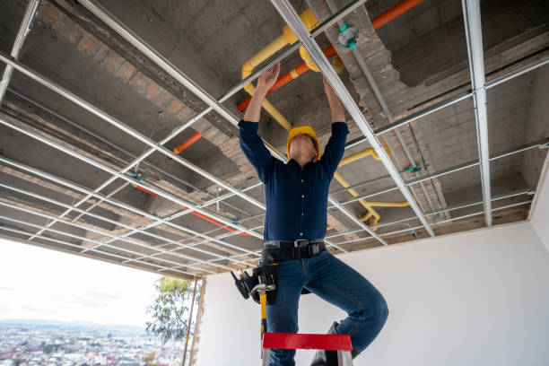 Best Plumbing Repair Near Me  in Nappanee, IN