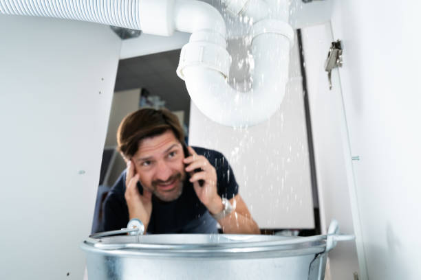 Best Plumbing Services Near Me  in Nappanee, IN