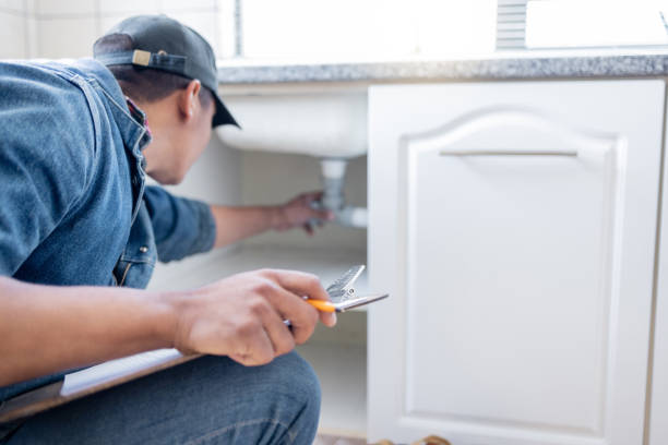 Best Clogged Drain Plumber  in Nappanee, IN