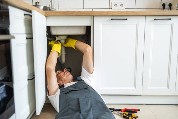Best 24-Hour Plumber Near Me  in Nappanee, IN